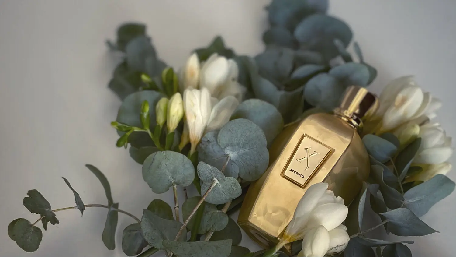 عطر ادکلن زرجوف اکسنتو اوردوز | Xerjoff Accento Overdose