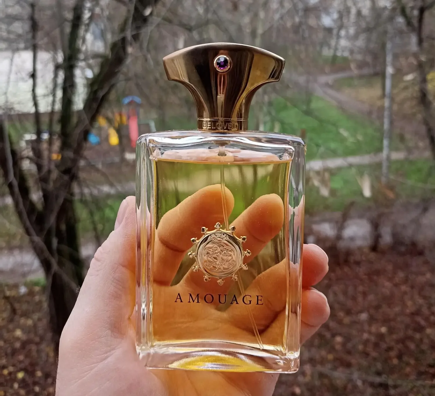 عطر ادکلن آمواج بیلاود مردانه | Amouage Beloved Man