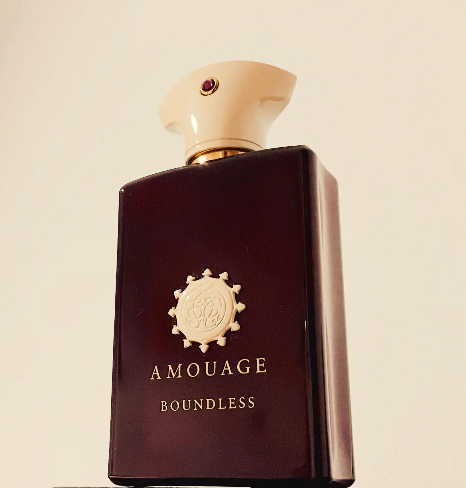 عطر ادکلن آمواج باندلس مردانه | Amouage Boundless