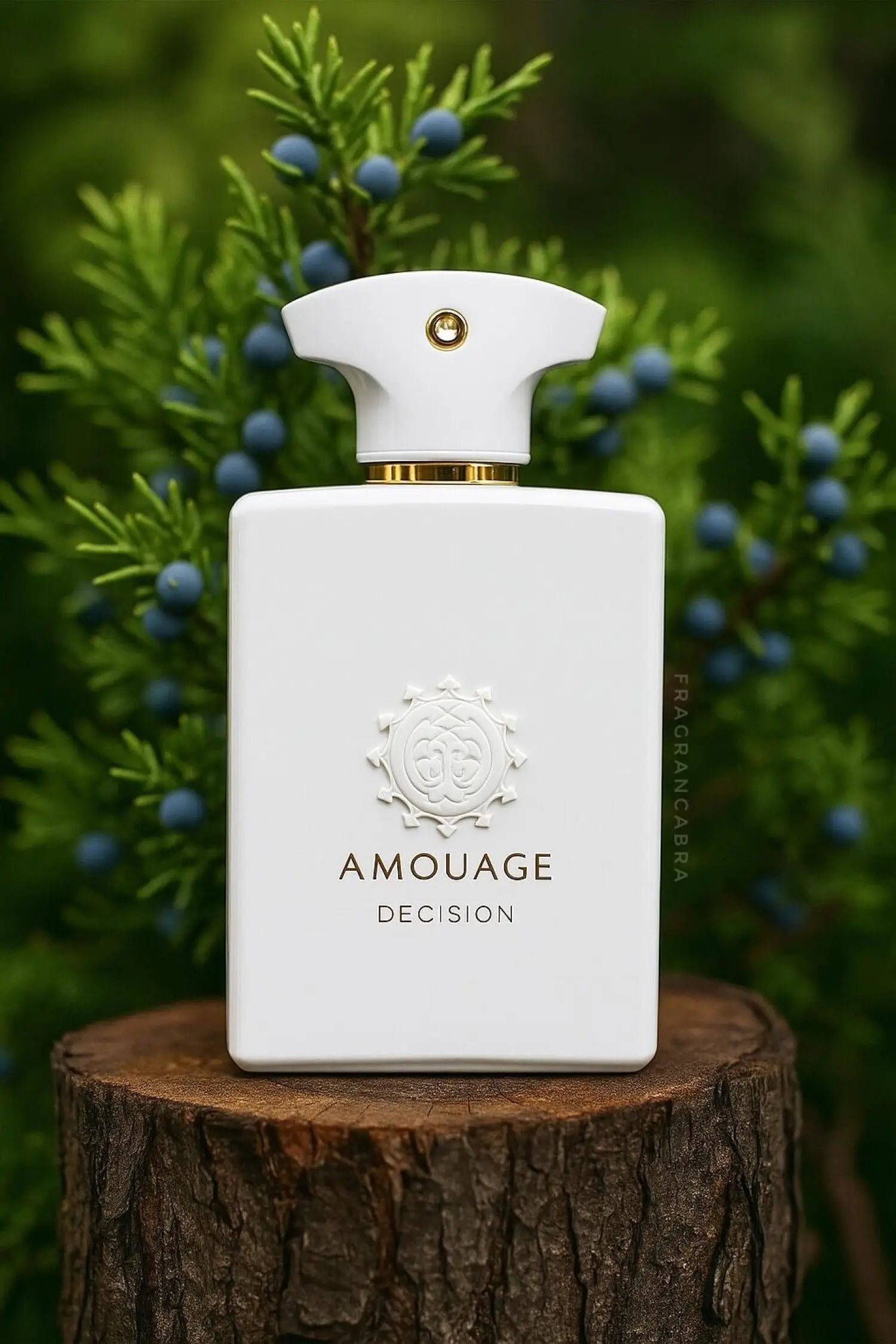 عطر ادکلن آمواج عطر آمواج دسیژن مردانه | Amouage Decision