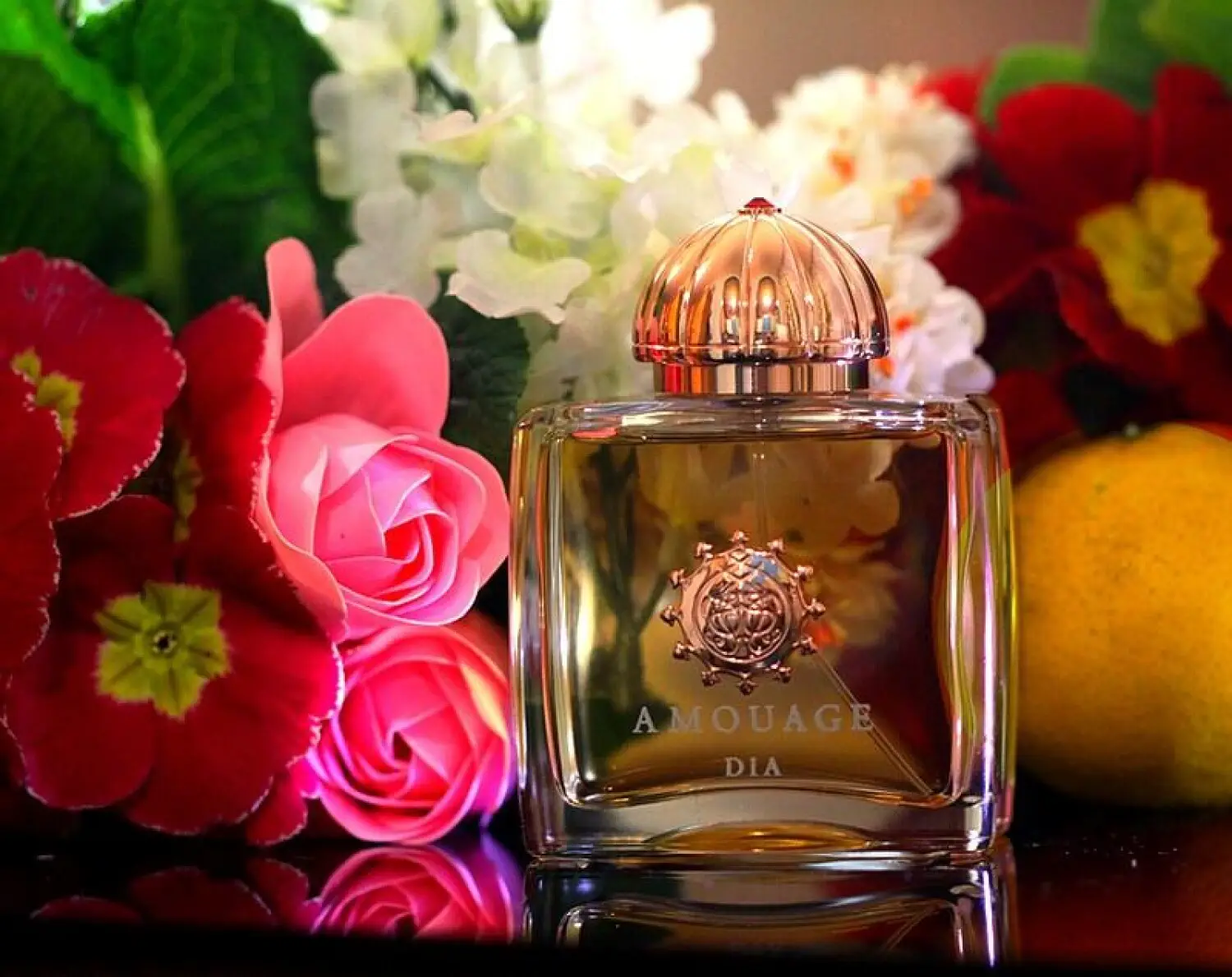عطر ادکلن آمواج دیا زنانه | Amouage Dia Woman