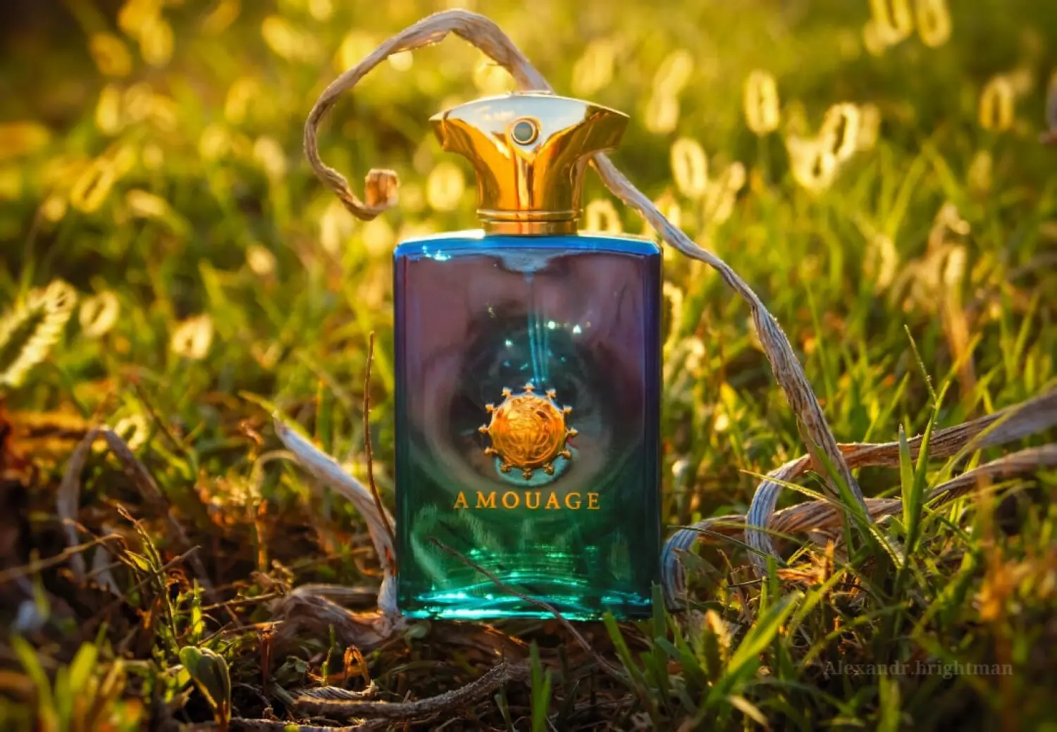 عطر ادکلن آمواج فیگمنت مردانه | Amouage Figment Man