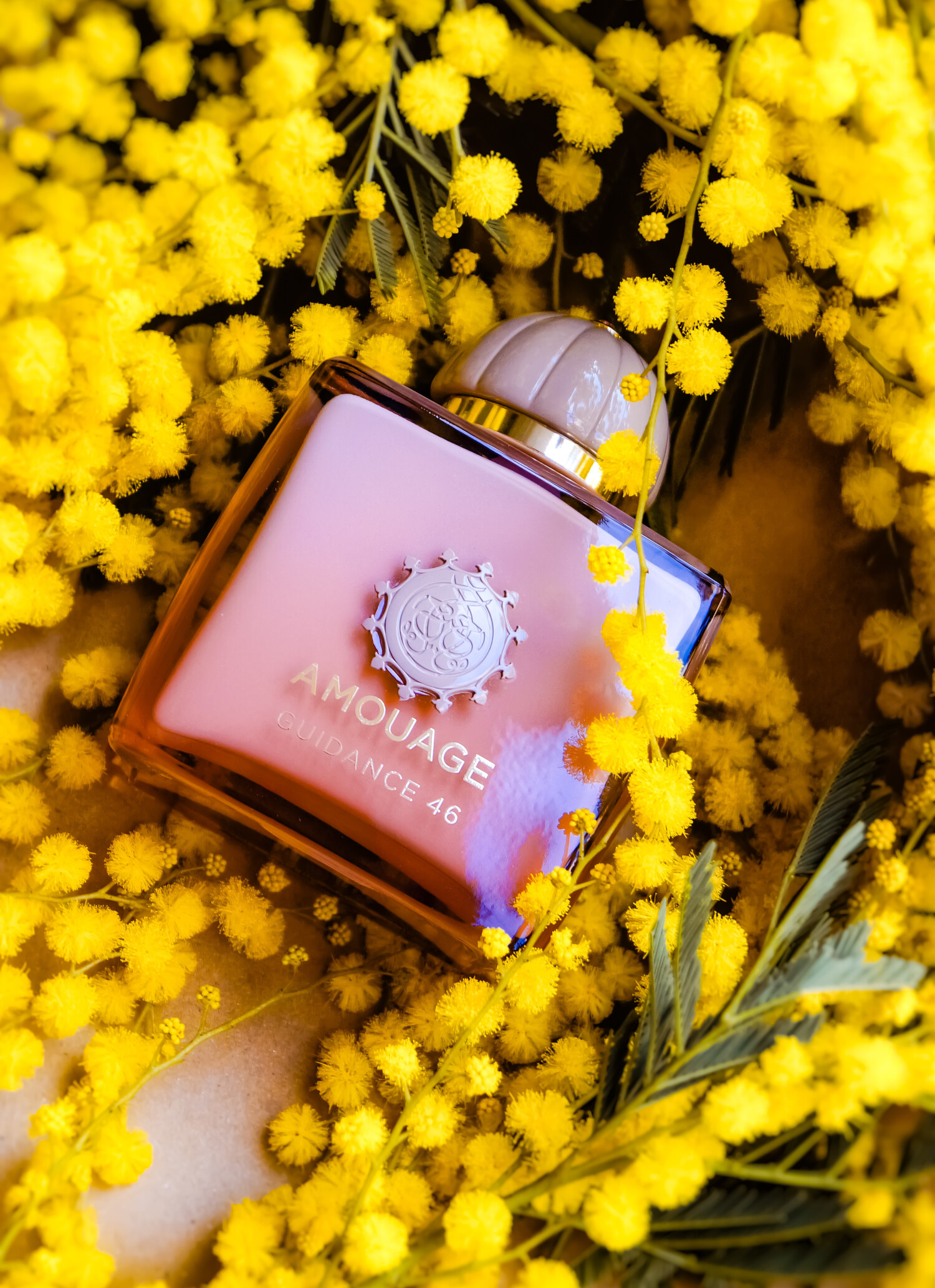عطر ادکلن آمواج گایدنس 46 | Amouage Guidance 46