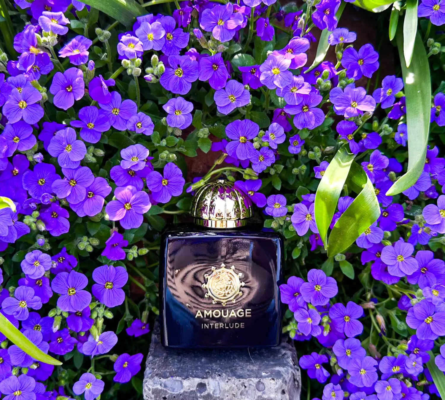 عطر ادکلن آمواج اینترلود زنانه | Amouage Interlude Woman