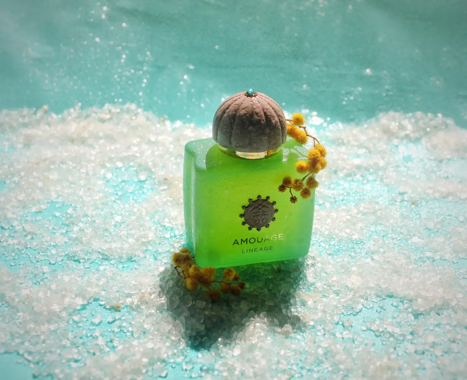 عطر ادکلن آمواج لینیج | Amouage Lineage