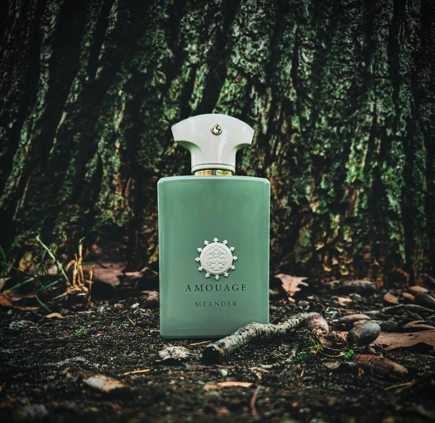 عطر ادکلن آمواج میندر | Amouage Meander