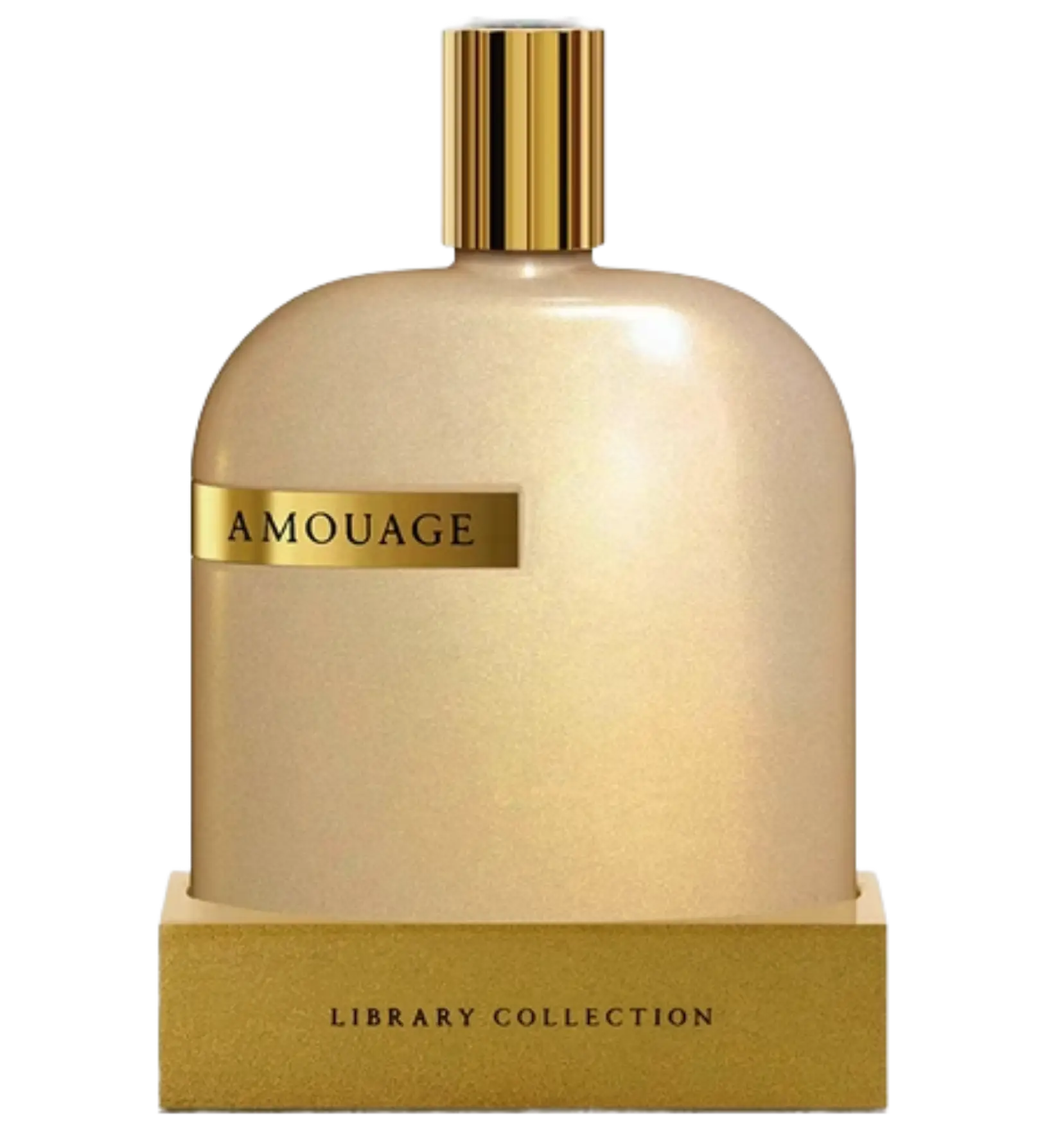 عطر ادکلن آمواج اوپوس هشت | Amouage The Library Collection Opus VIII