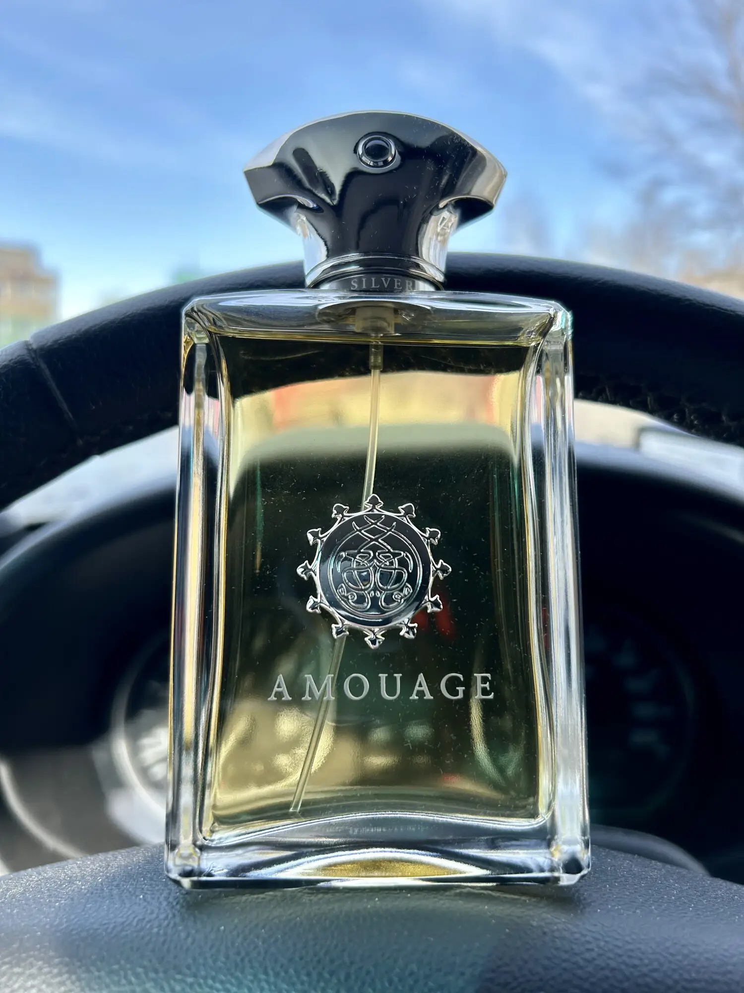 عطر ادکلن آمواج سیلور | Amouage Silver