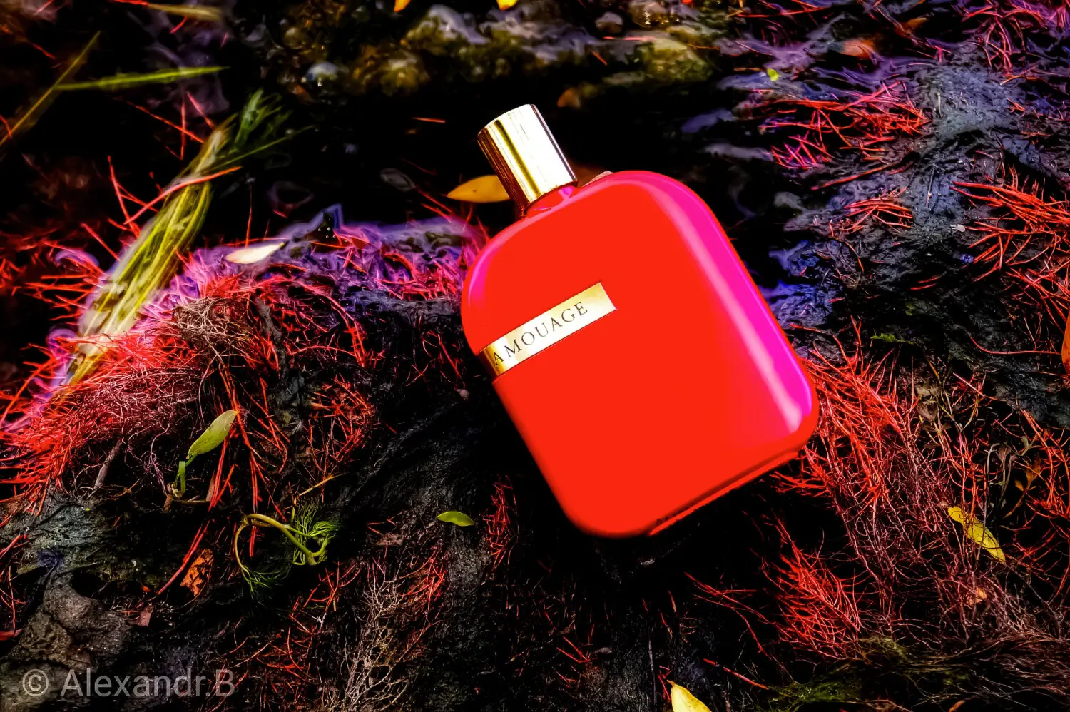 عطر ادکلن آمواج اوپوس نه | Amouage The Library Collection Opus IX