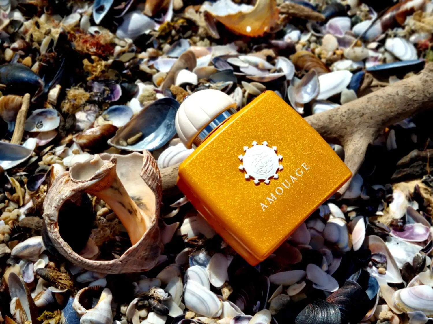 عطر ادکلن آمواج بیچ هات زنانه | Amouage Beach Hut Woman