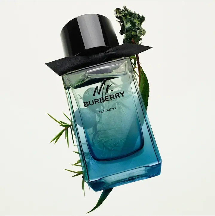 عطر ادکلن باربری مستر باربری المنت | Burberry Mr. Burberry Element
