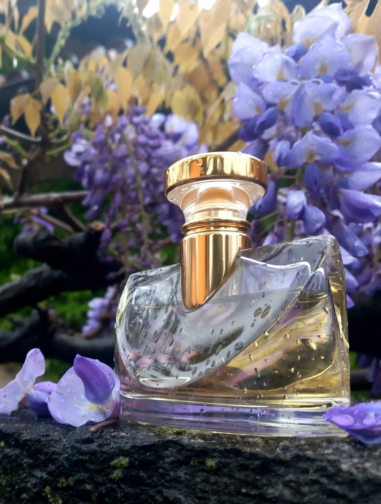 عطر ادکلن بولگاری پور فم | Bvlgari Bvlgari Pour Femme