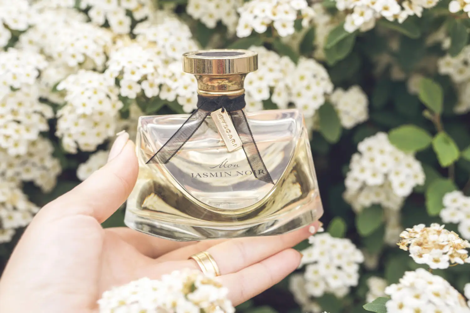 عطر ادکلن بولگاری مون جاسمین نویر | Bvlgari Mon Jasmin Noir