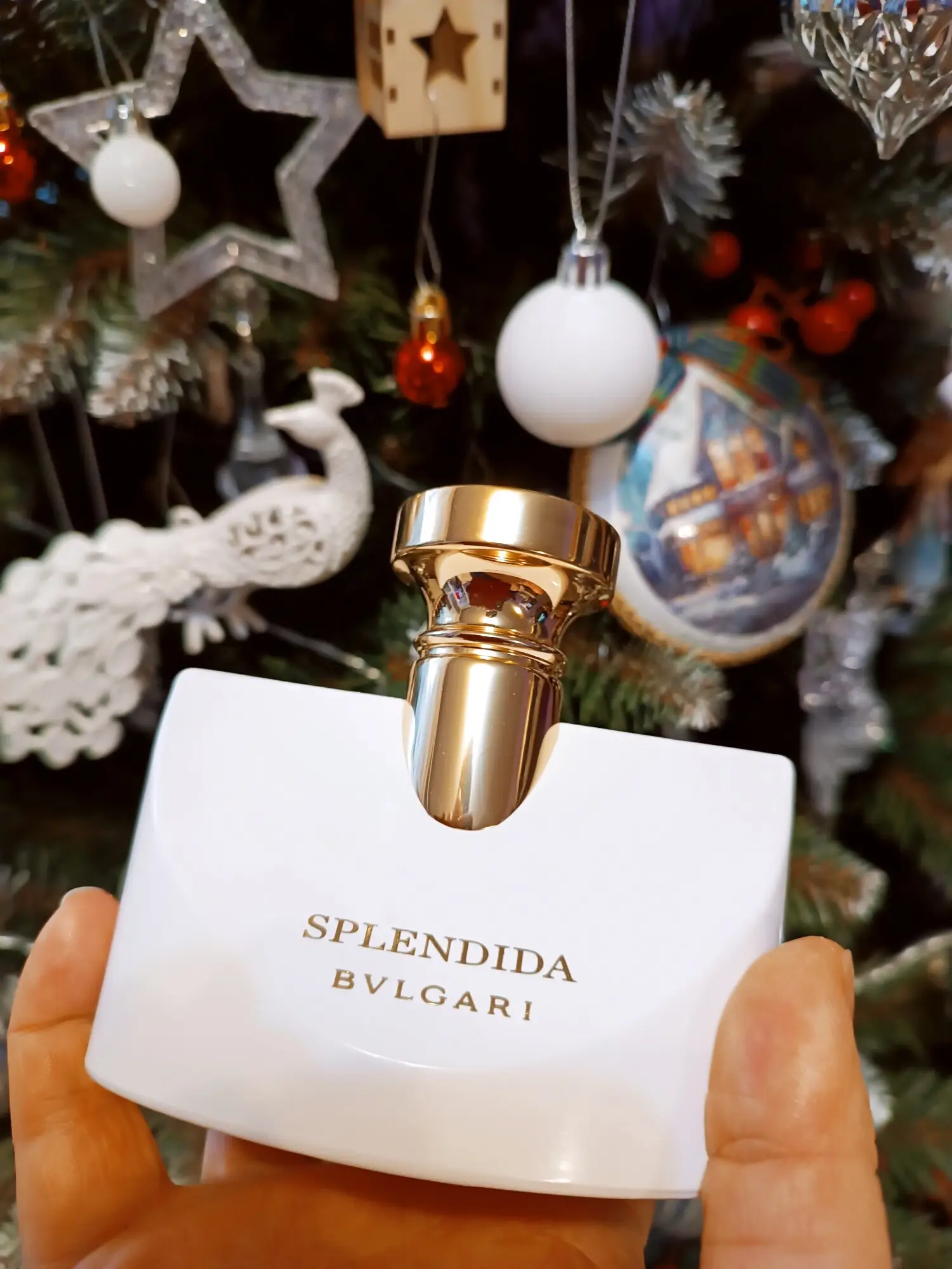 عطر ادکلن بولگاری اسپلندیدا پچولی تنتیشن | Bvlgari Splendida Patchouli Tentation