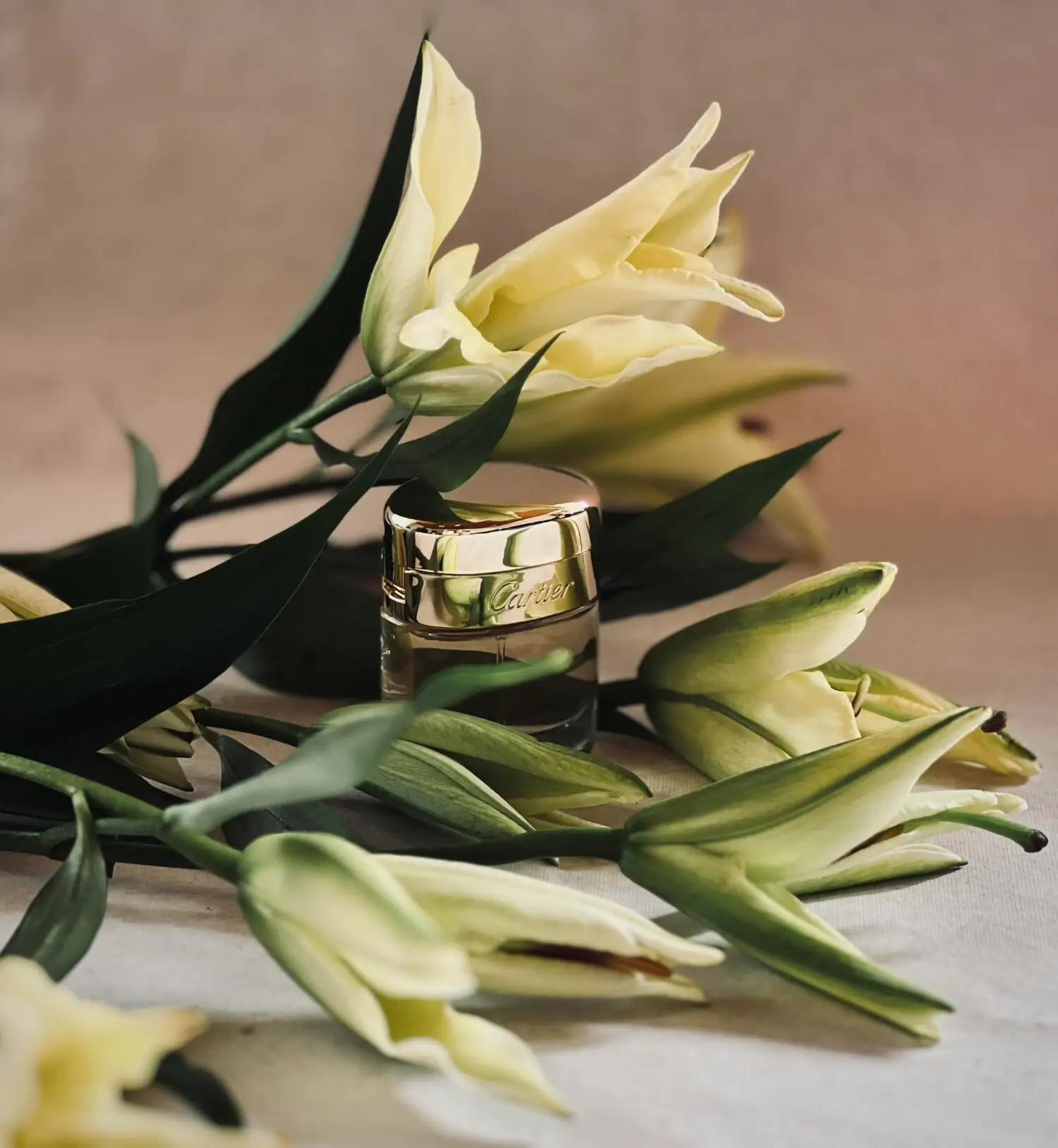 عطر ادکلن کارتیر بایسر ول | Cartier Baiser Vole