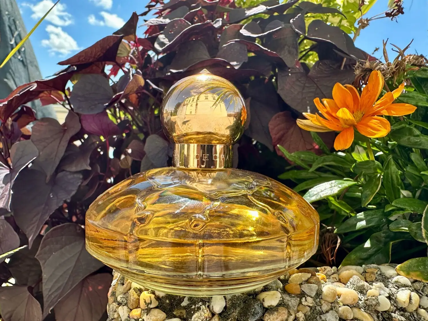 عطر ادکلن چوپارد کاسمیر | Chopard Casmir