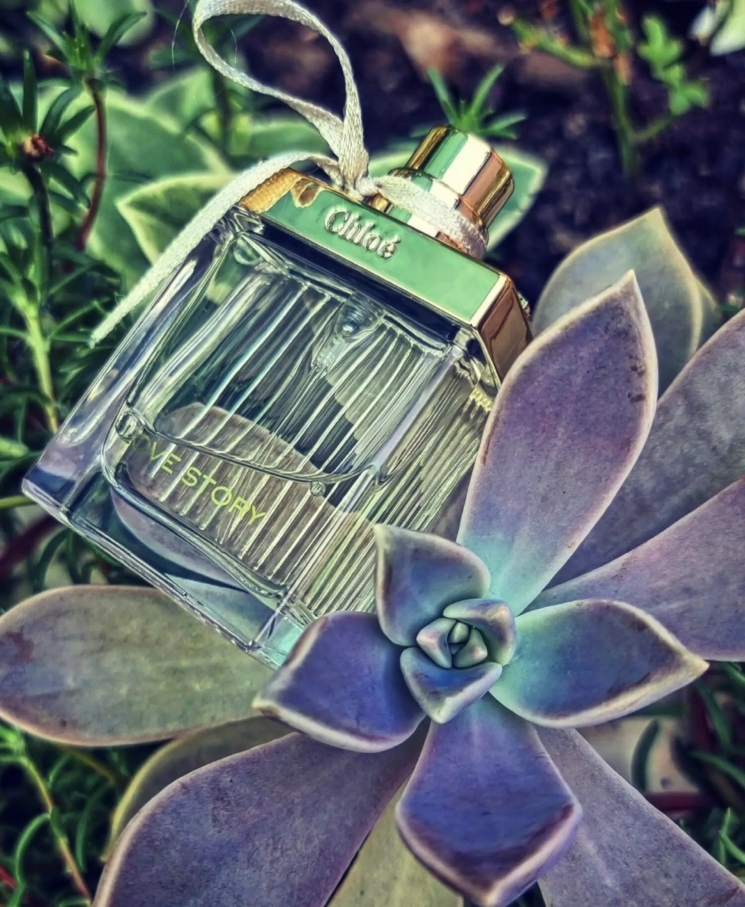 عطر ادکلن کلوهه لاو استوری | Chloé Love Story