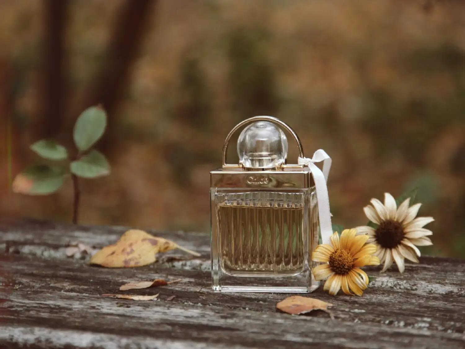 عطر ادکلن کلوهه لاو استوری | Chloé Love Story