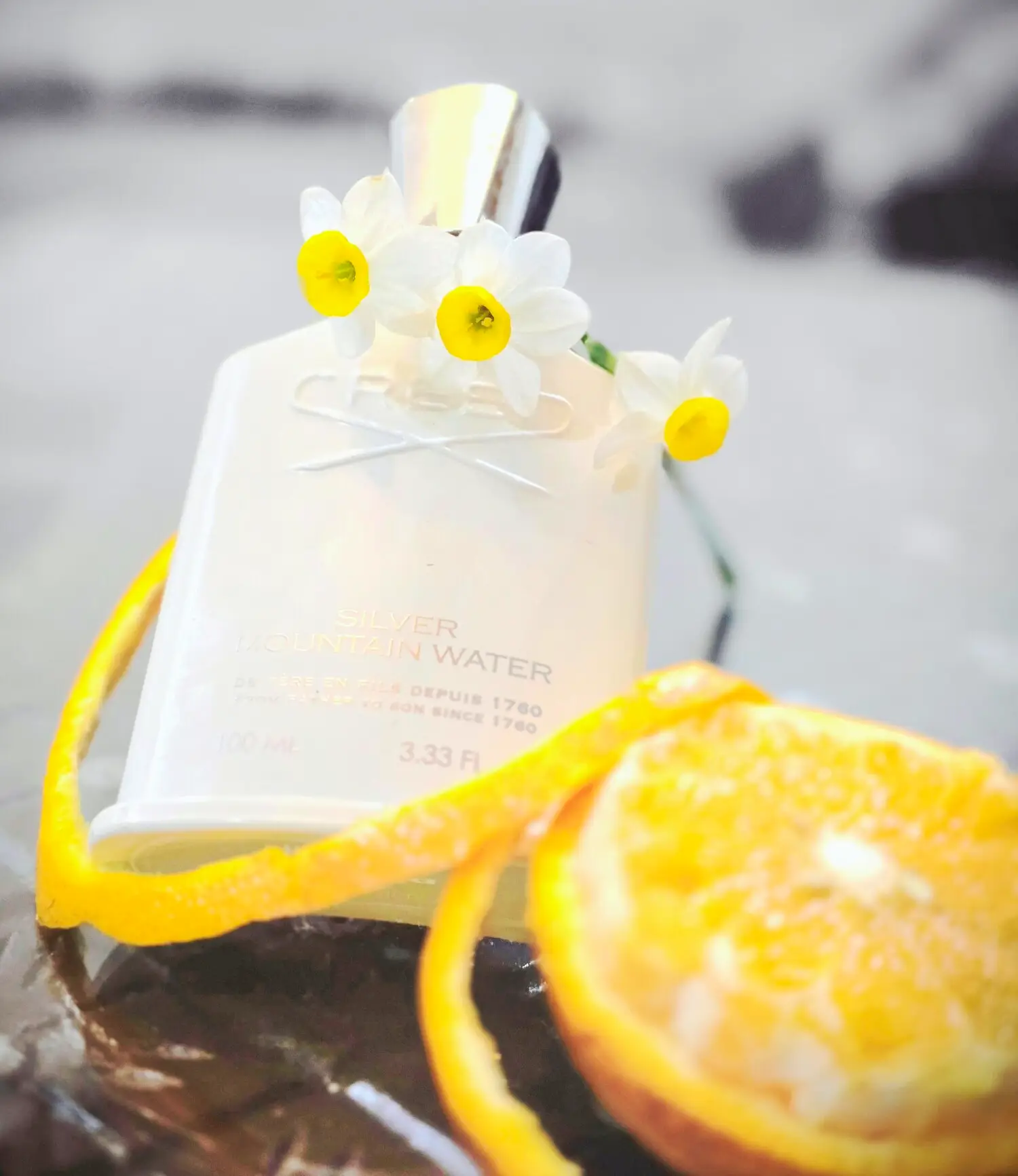 عطر ادکلن کرید سیلور مانتین واتر | Creed Silver Mountain Water