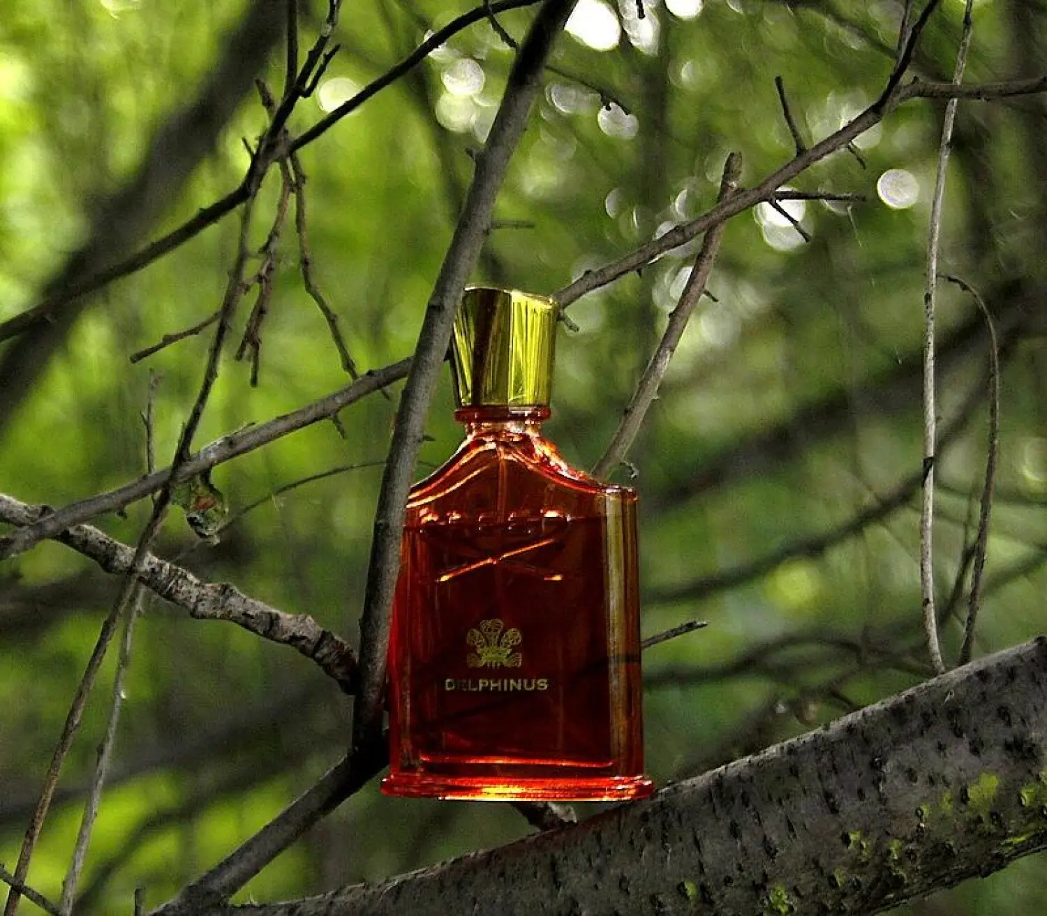 عطر ادکلن کرید دلفینوس | Creed Delphinus