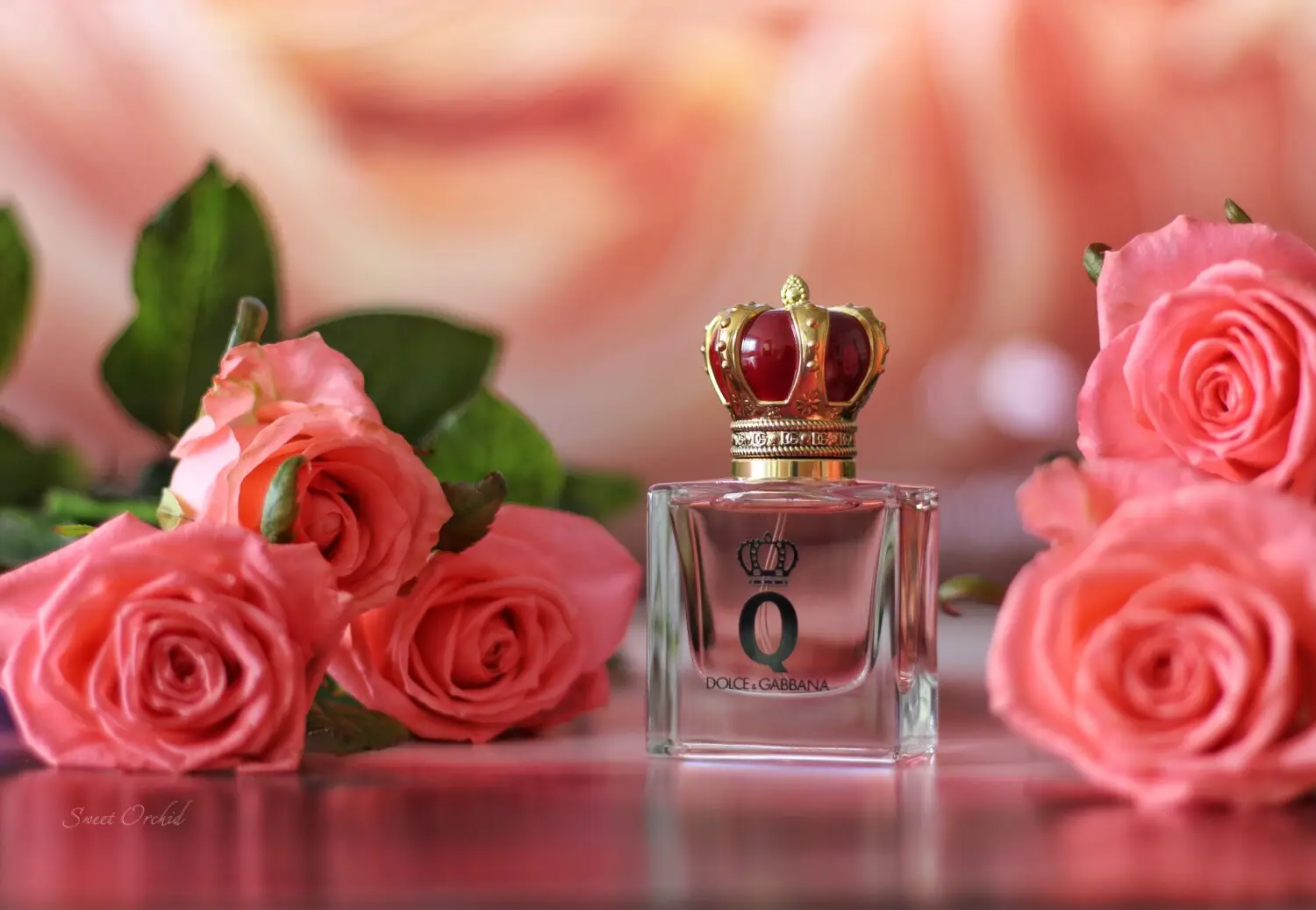 عطر ادکلن دولچه گابانا کیو (کویین) | Dolce & Gabbana Q