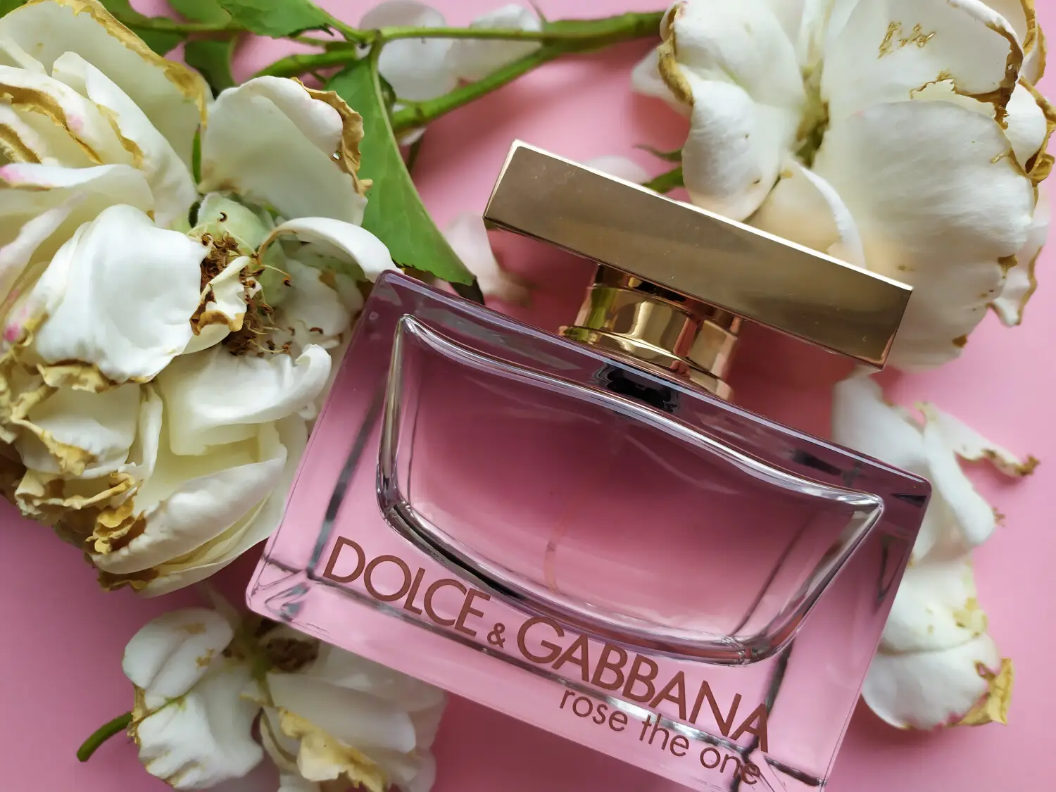 عطر ادکلن دی اند جی دلچه گابانا رز د وان | Dolce Gabbana Rose The One