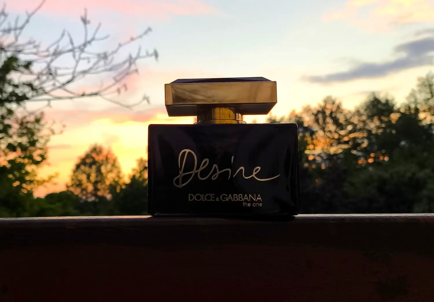 عطر ادکلن دی اند جی دلچه گابانا د وان دیزایر | Dolce Gabbana The One Desire