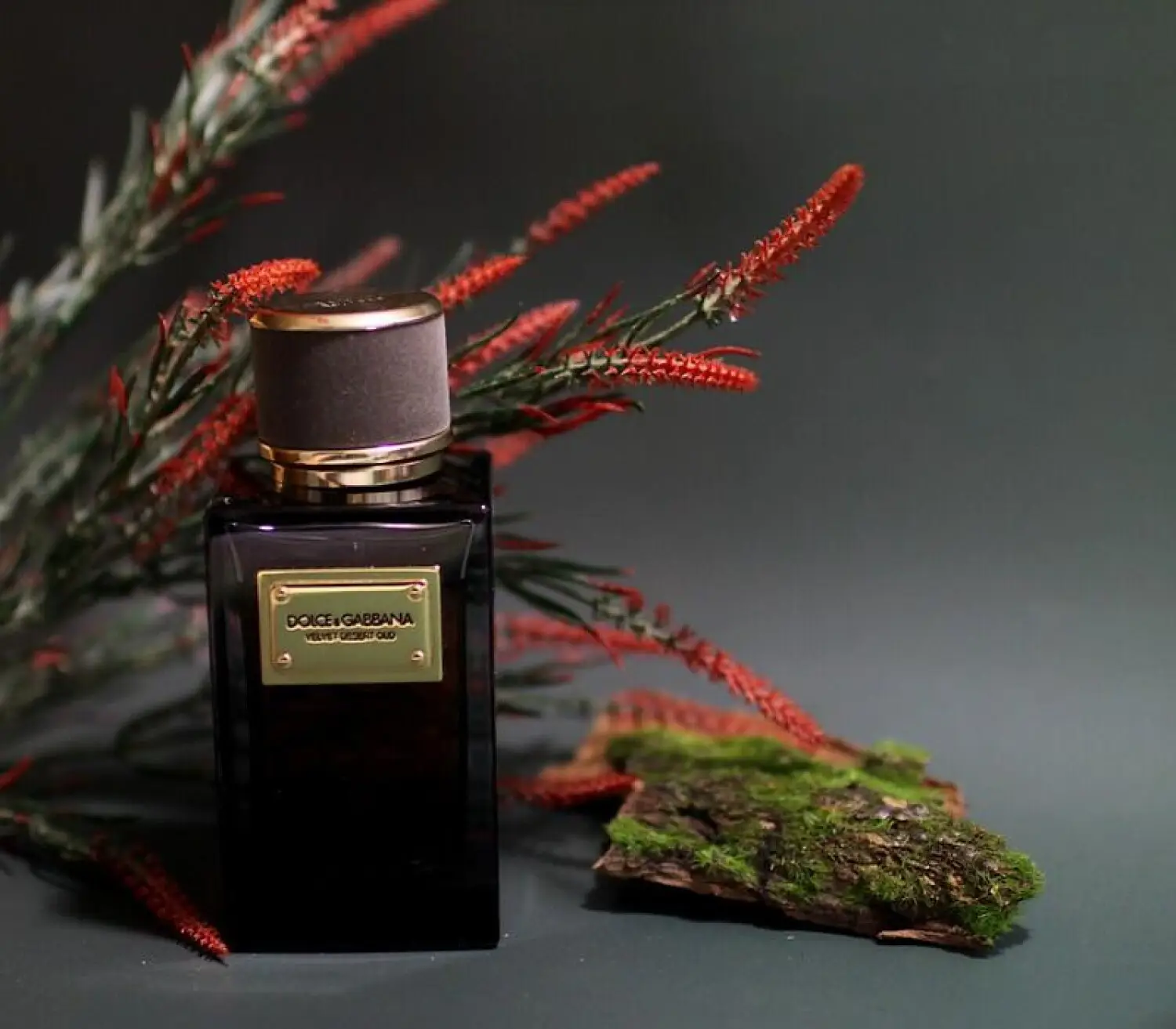 عطر ادکلن دلچه گابانا ولوت دیزرت عود | Dolce Gabbana Velvet Desert Oud