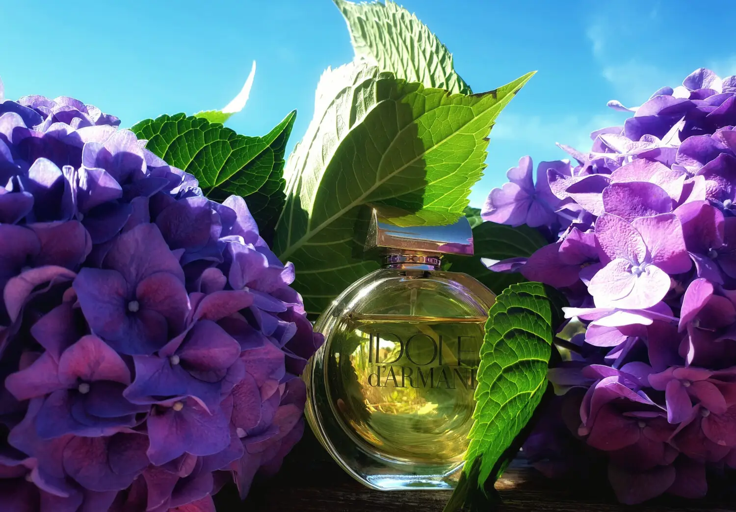 عطر ادکلن جورجیو آرمانی آیدول د آرمانی | Giorgio Armani Idole d Armani