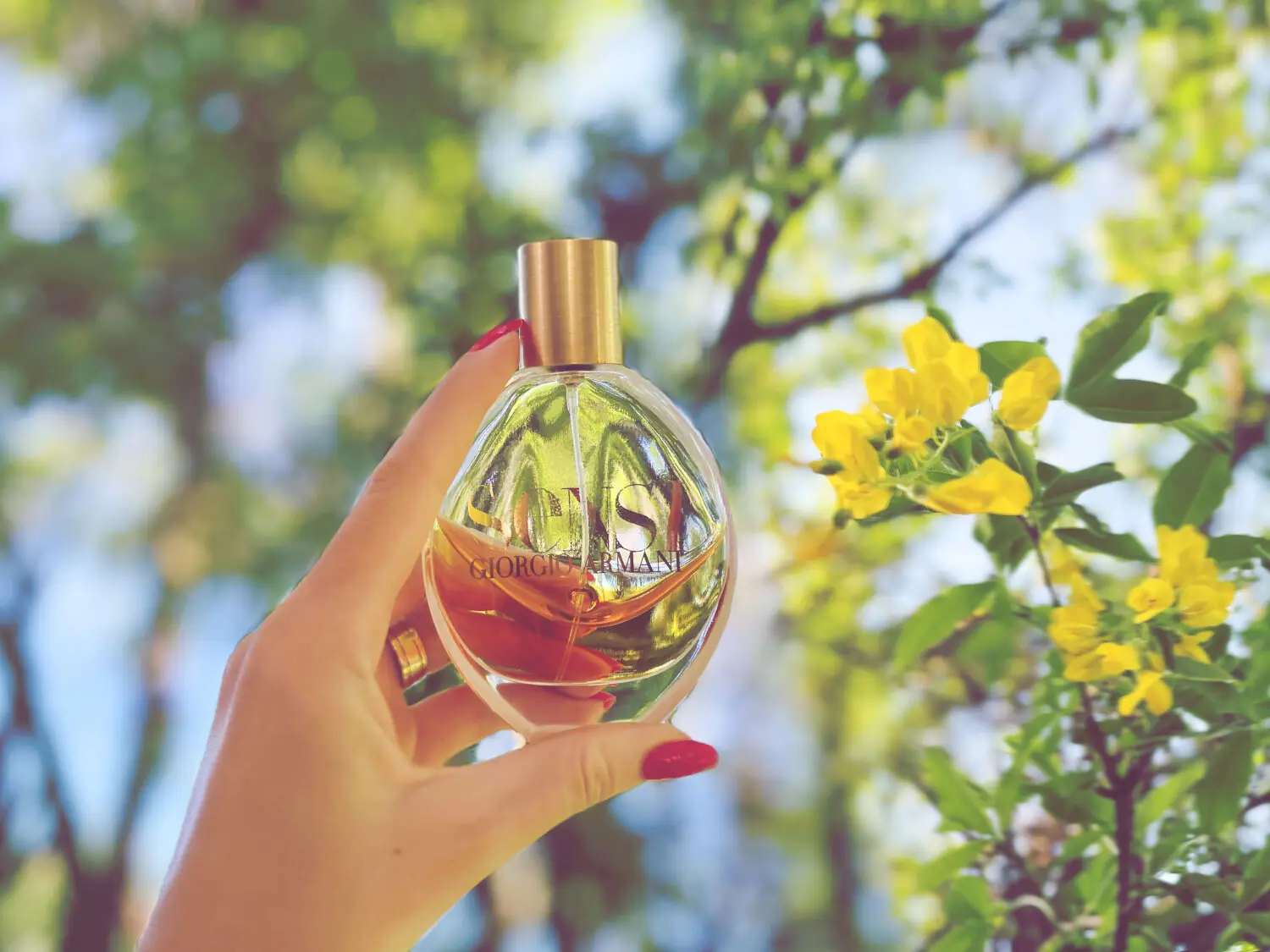 عطر ادکلن جورجیو آرمانی سنسی | Giorgio Armani Sensi