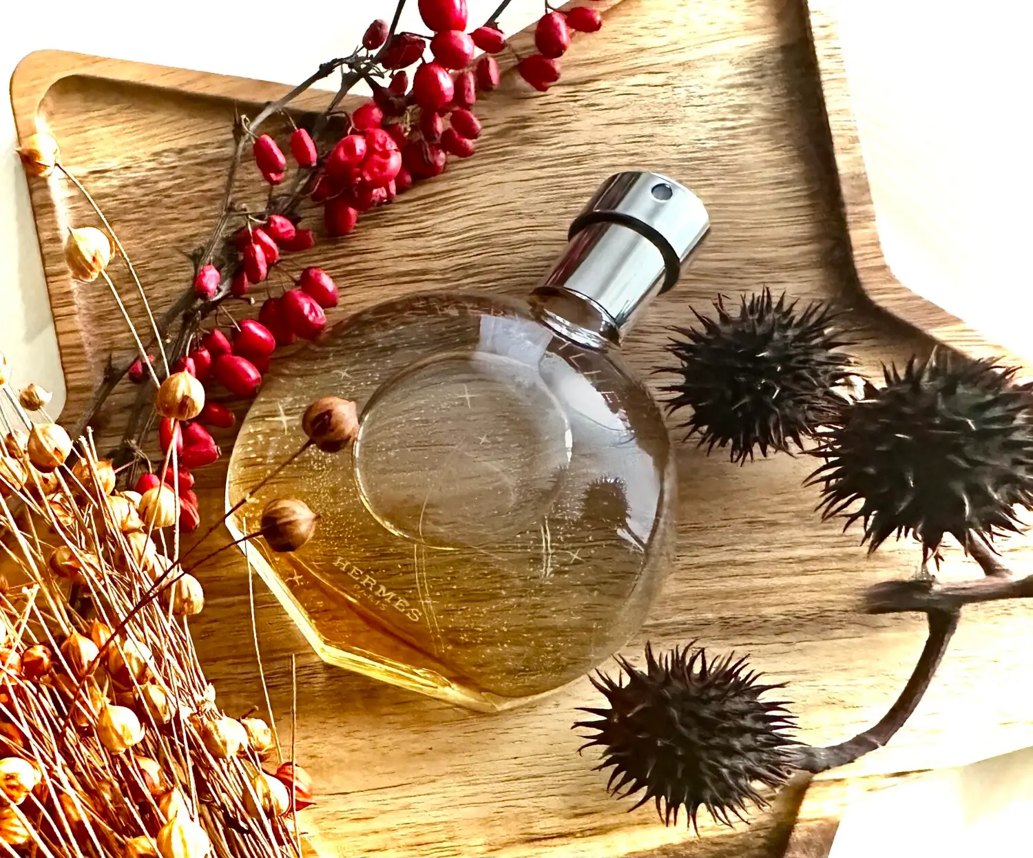 عطر ادکلن هرمس او دس مرویلس | Hermès Eau des Merveilles