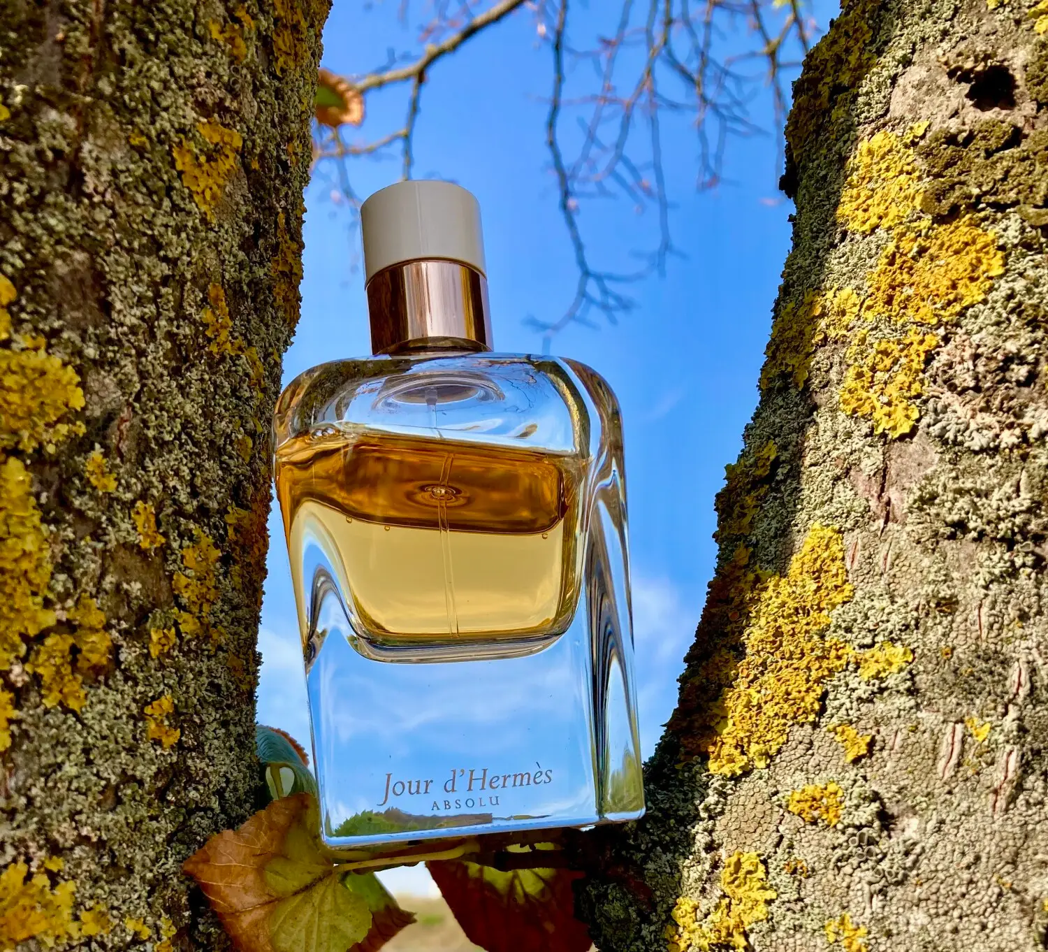 عطر ادکلن هرمس ژور دهرمس ابسولو | Hermès Jour d’Hermes Absolu