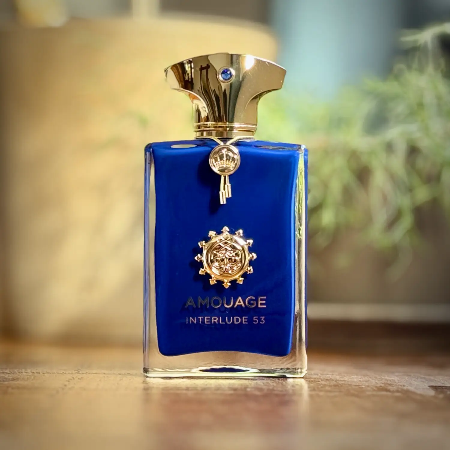 عطر ادکلن آمواج اینترلود 53 | Amouage Interlude 53