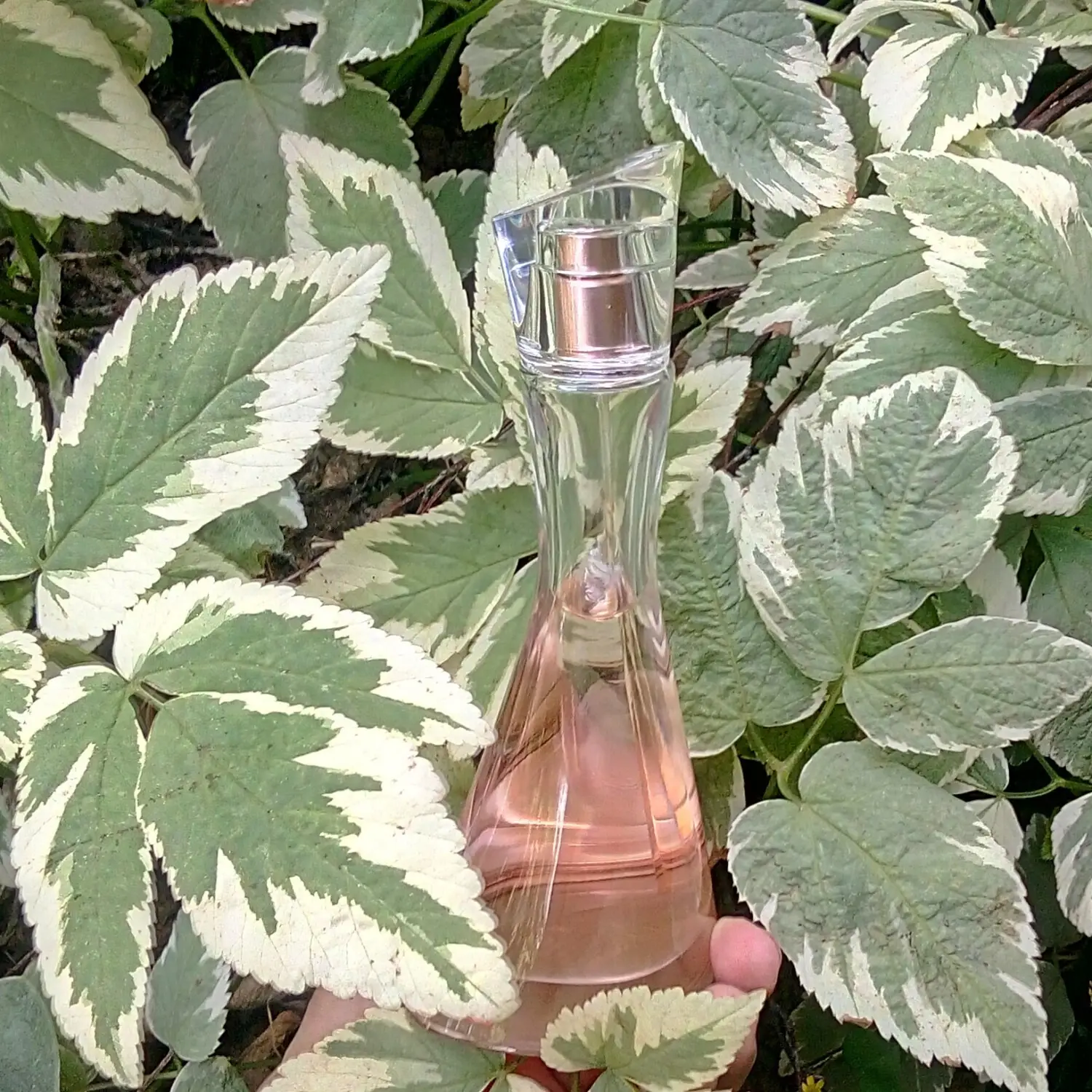 عطر ادکلن کنزو ژو د آمور | Kenzo Jeu d’Amour