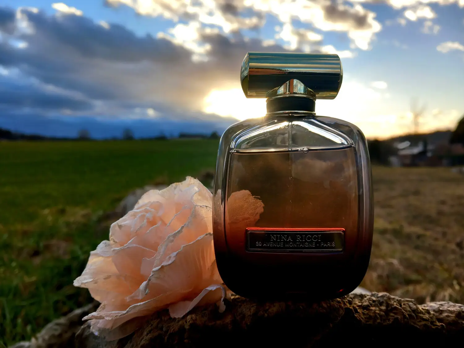 عطر ادکلن نینا ریچی له اکستاز | Nina Ricci L Extase