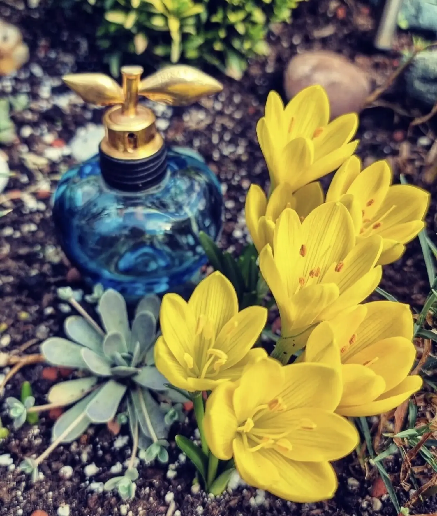 عطر ادکلن نینا ریچی لونا | Nina Ricci Luna