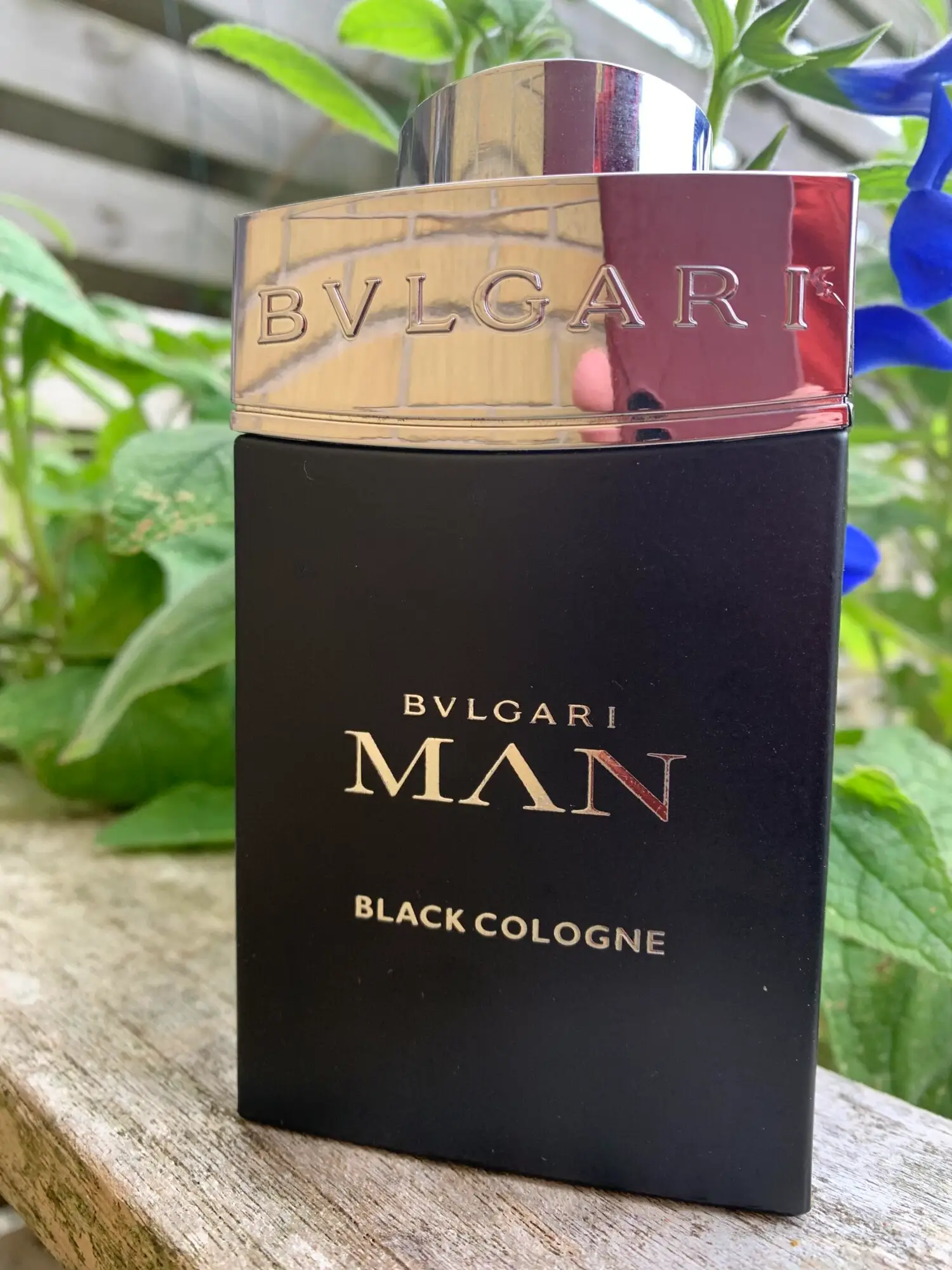 عطر ادکلن بولگاری من بلک کولن | Bvlgari Bvlgari Man Black Cologne