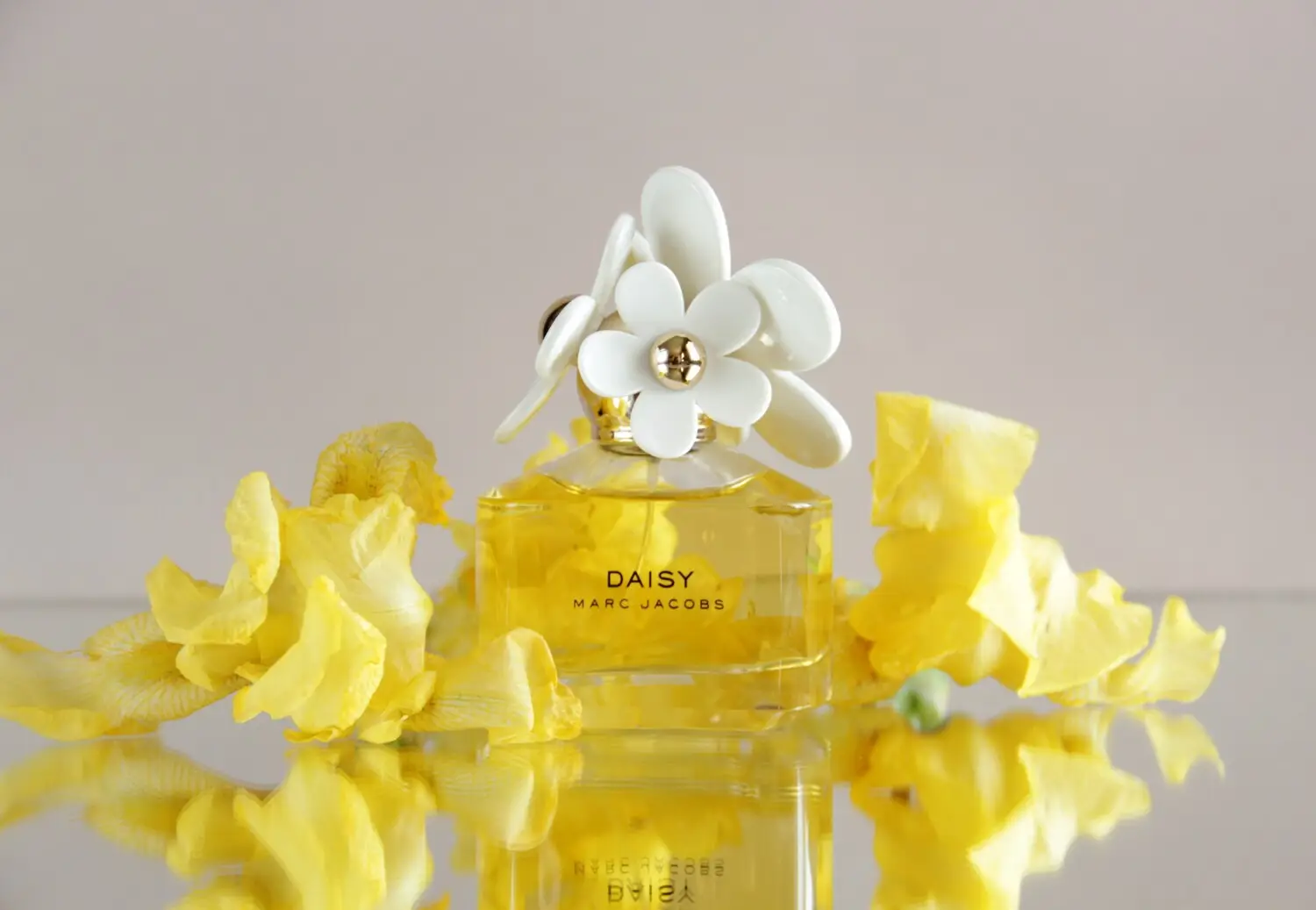 عطر ادکلن مارک جاکوبز دیسی | Marc Jacobs Daisy