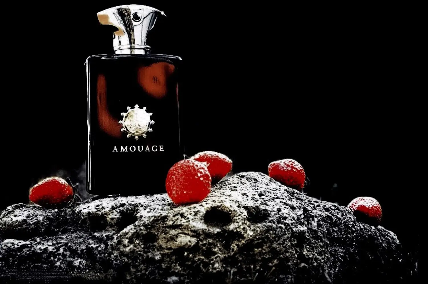 عطر ادکلن آمواج ممویر مردانه | Amouage Memoir Man