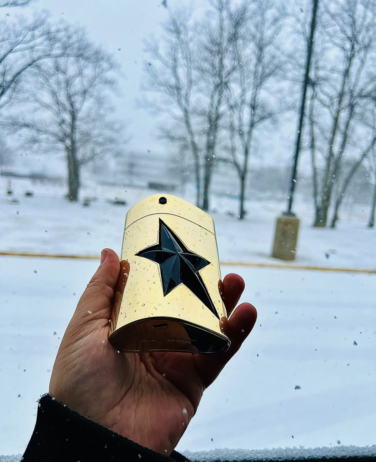 عطر ادکلن تیری موگلر ای من گلد ادیشن | Mugler A*Men Gold Edition
