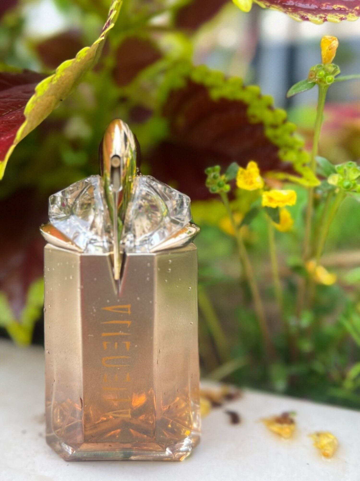 عطر ادکلن تیری موگلر الین گادس اینتنس | Mugler Alien Goddess Intense