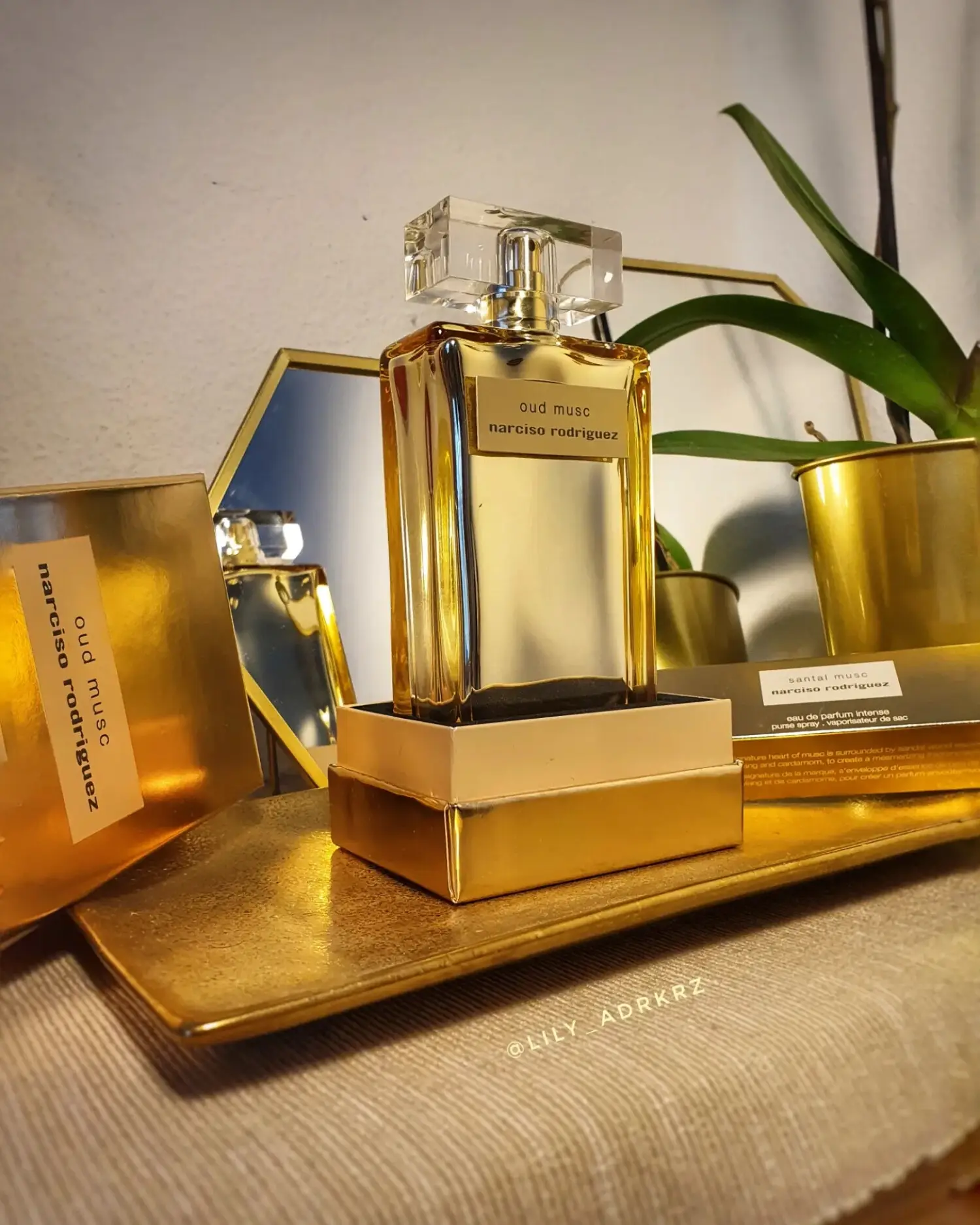 عطر ادکلن نارسیسو رودریگز عود ماسک | Narciso Rodriguez Oud Musc