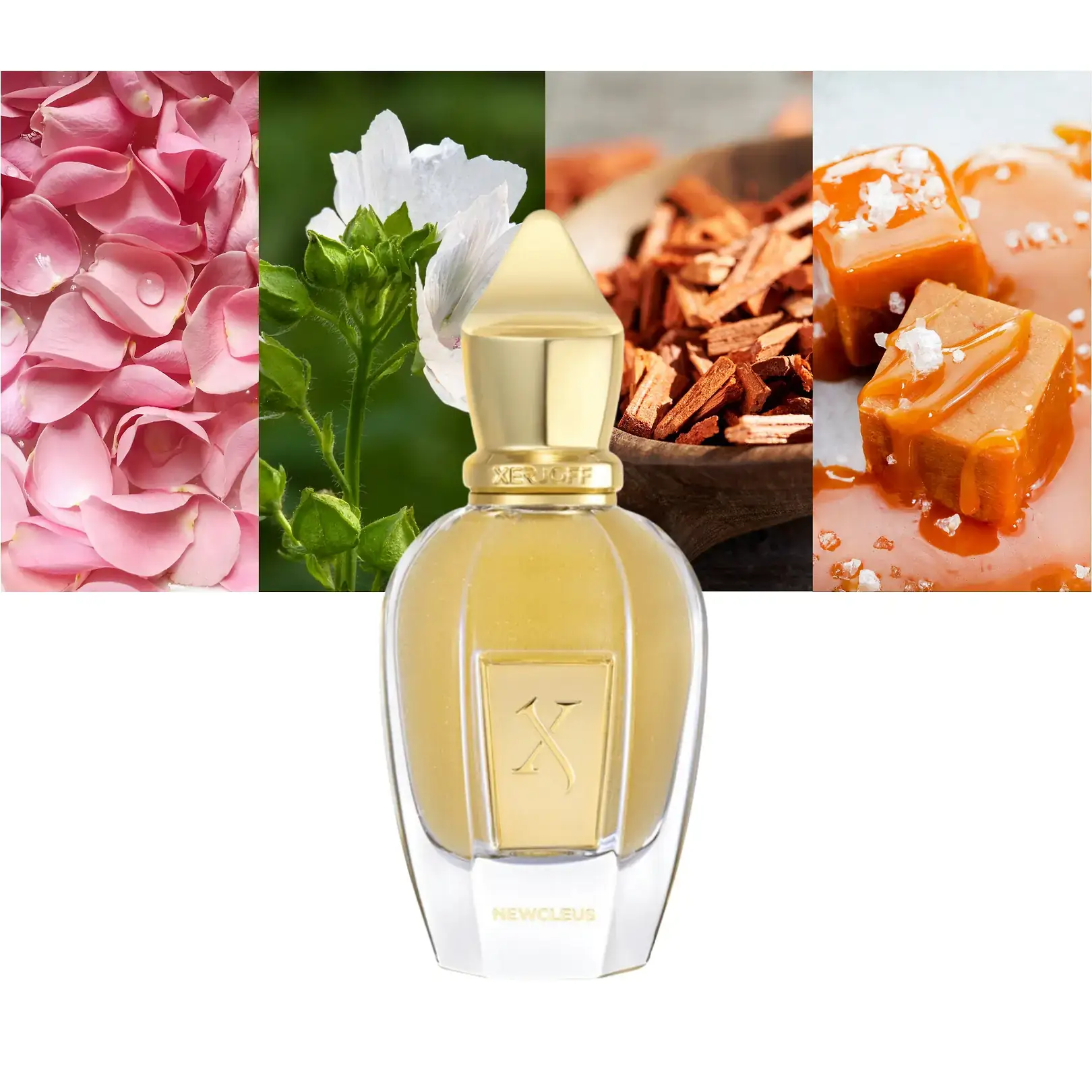 عطر ادکلن زرجوف نیوکلیوس | Xerjoff Newcleus