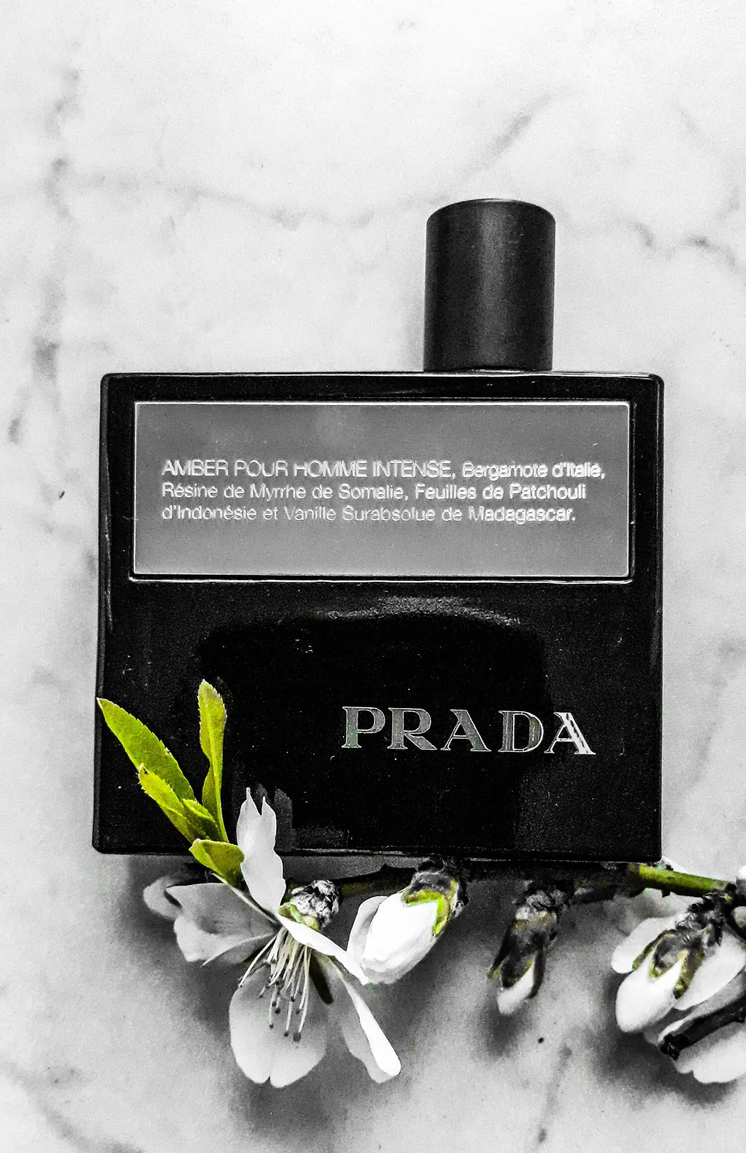 عطر ادکلن پرادا امبر پور هوم اینتنس | Prada Amber Pour Homme Intense