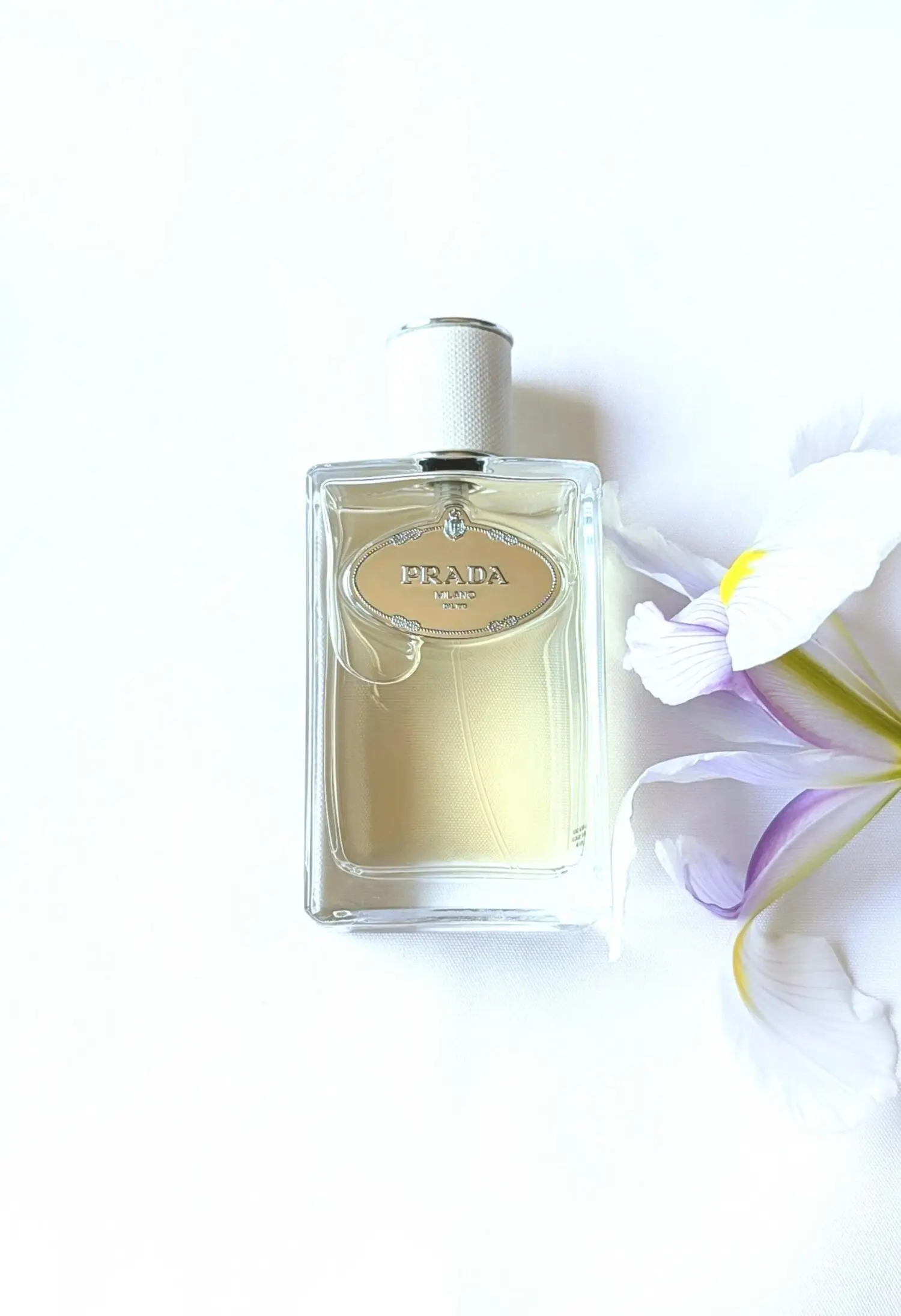 عطر ادکلن پرادا اینفیوژن د هوم | Prada Infusion d’Homme