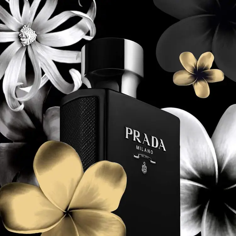 عطر ادکلن پرادا پرادا لهوم اینتنس | Prada Prada L Homme Intense