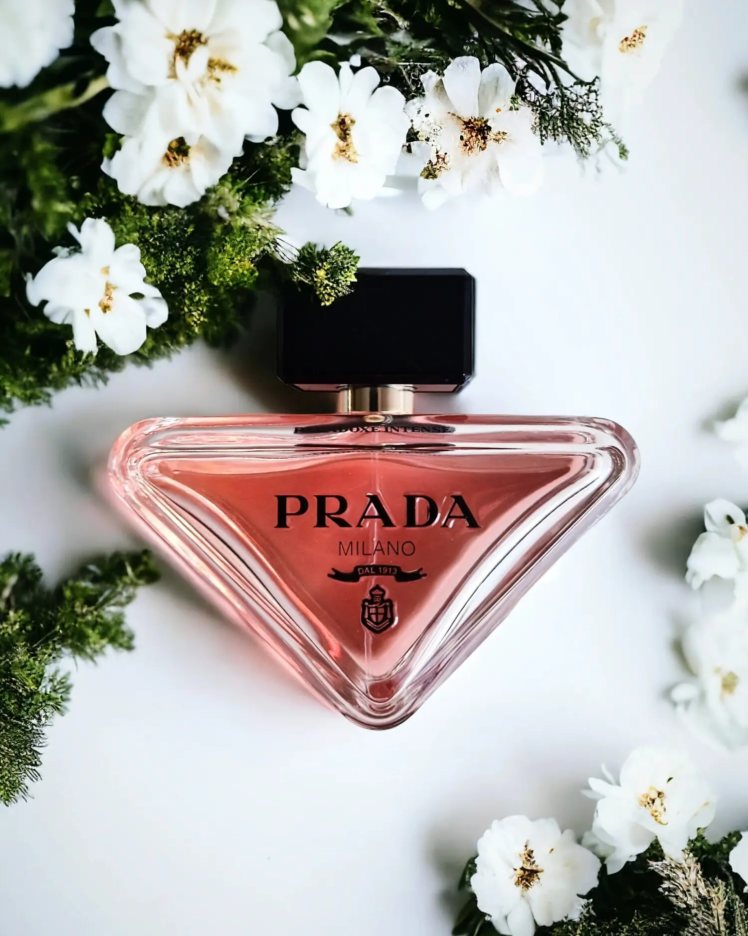 عطر ادکلن پرادا پارادوکس اینتنس | Prada Paradoxe Intense