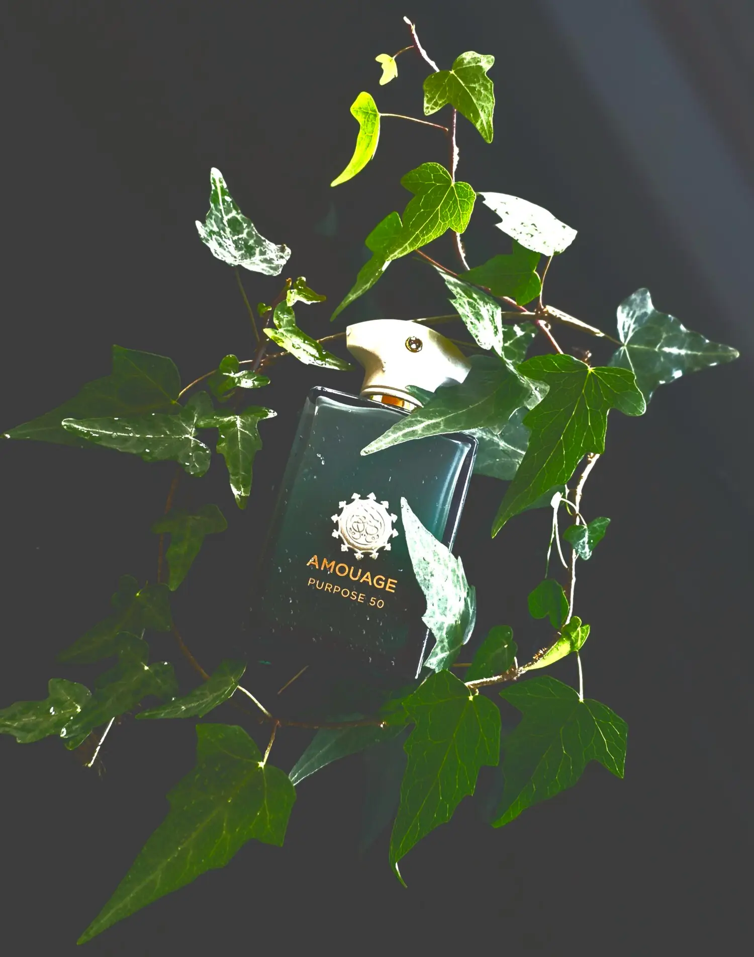 عطر ادکلن آمواج پرپس ۵۰ اکستریت | Amouage Purpose 50 Extrait