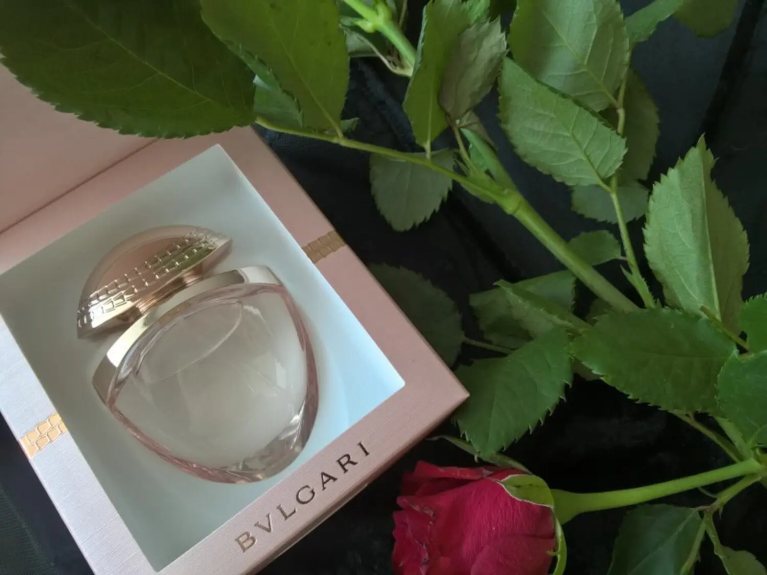 عطر ادکلن بولگاری رز گلدیا | Bvlgari Rose Goldea