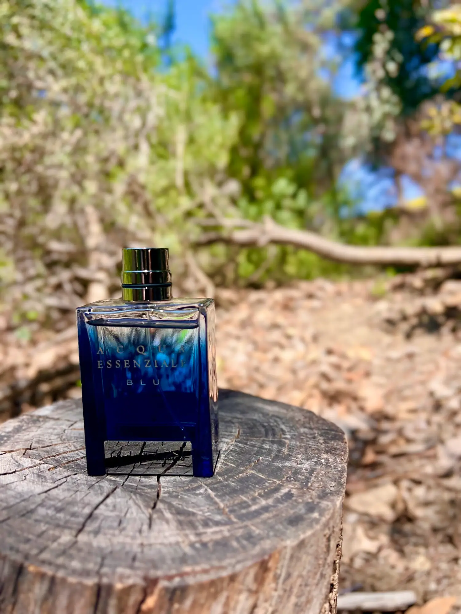 عطر ادکلن سالواتوره فراگامو آکوا اسنزیال بلو | Salvatore Ferragamo Acqua Essenziale Blu